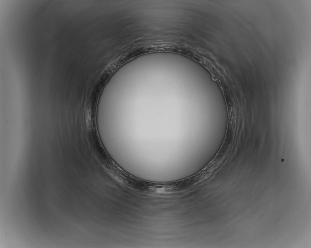 X0000111440564200907131023