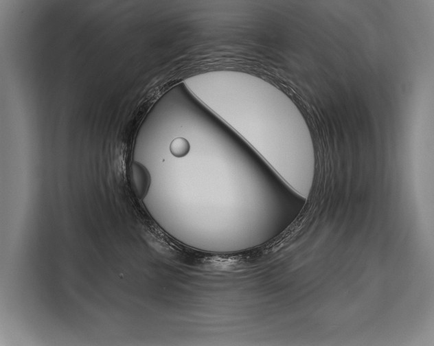 X0000111440570200907131023