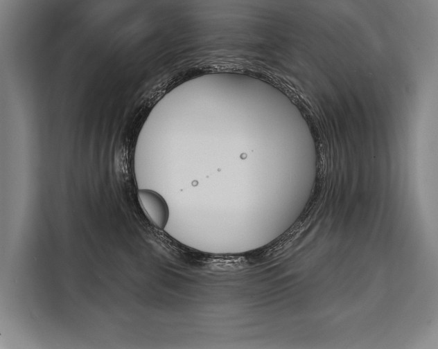X0000111440571200907131023