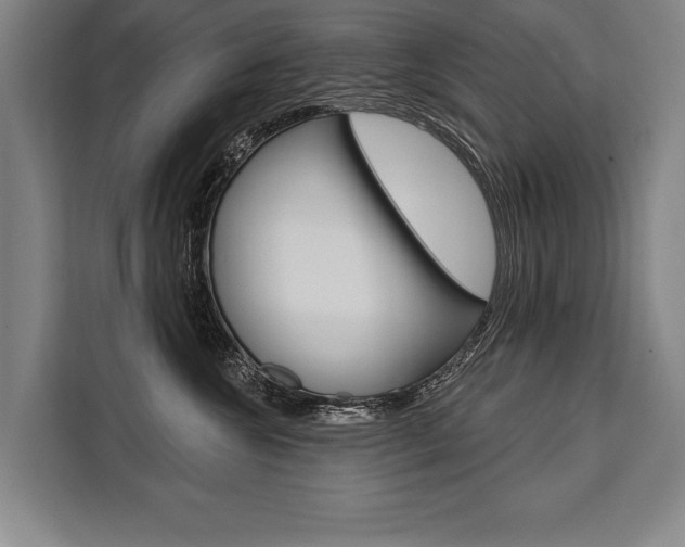X0000111440572200907131023