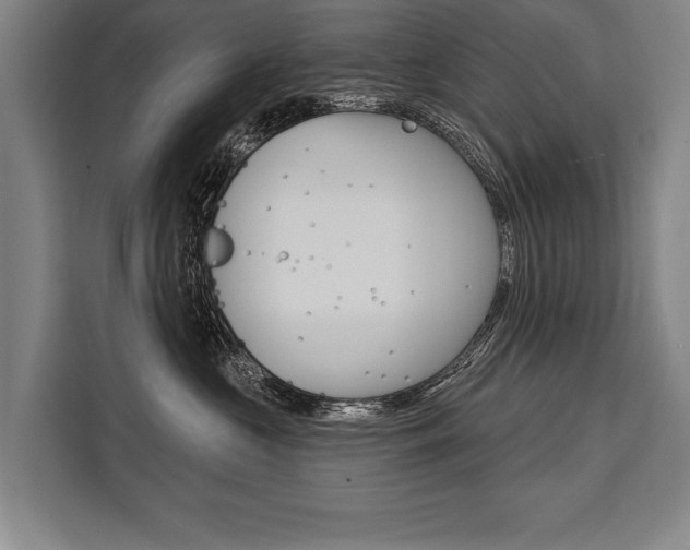 X0000111440573200907131023