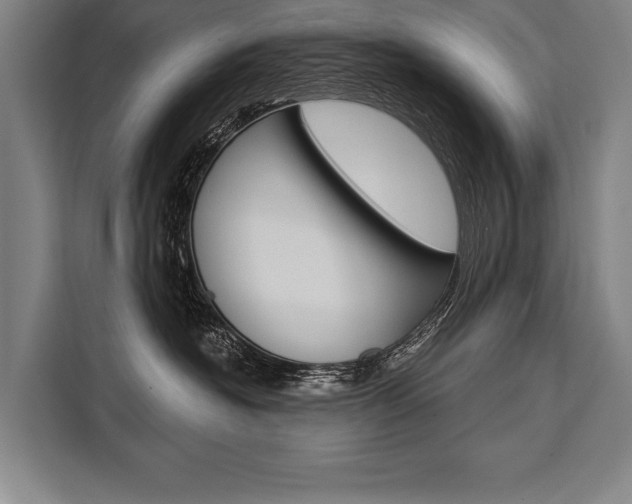 X0000111440574200907131023