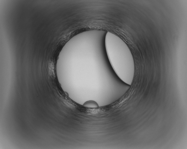 X0000111440575200907131023