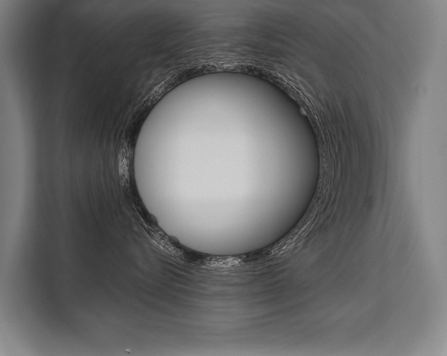 X0000111440576200907131023