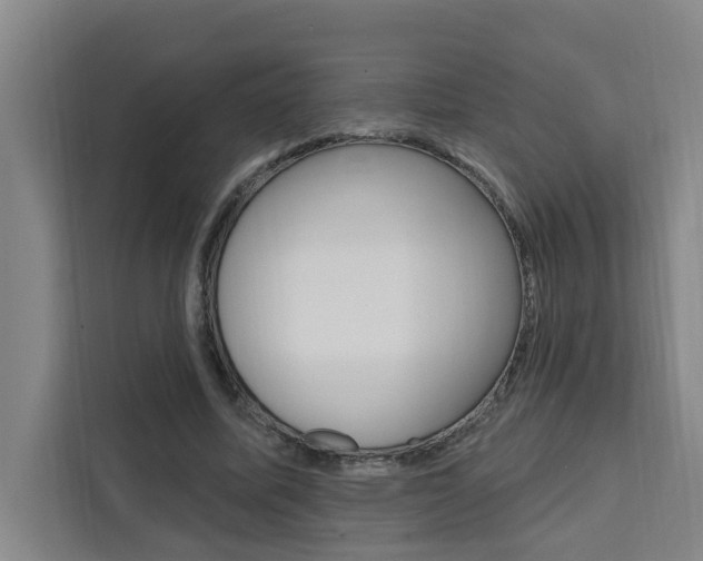 X0000111440587200907131022