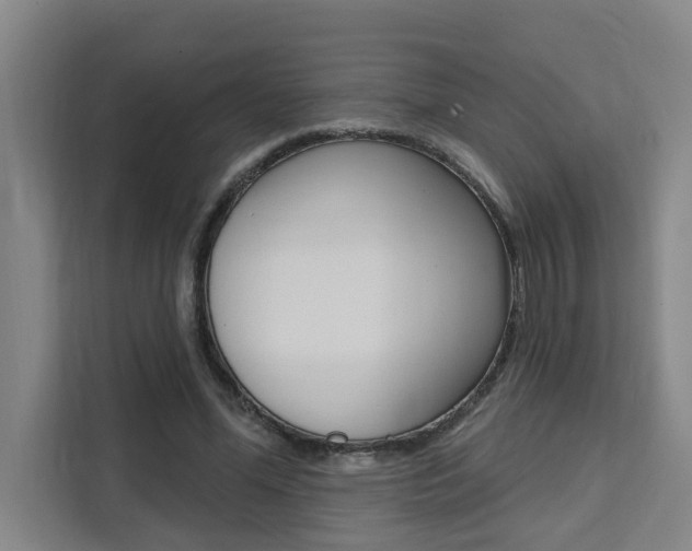 X0000111440588200907131022