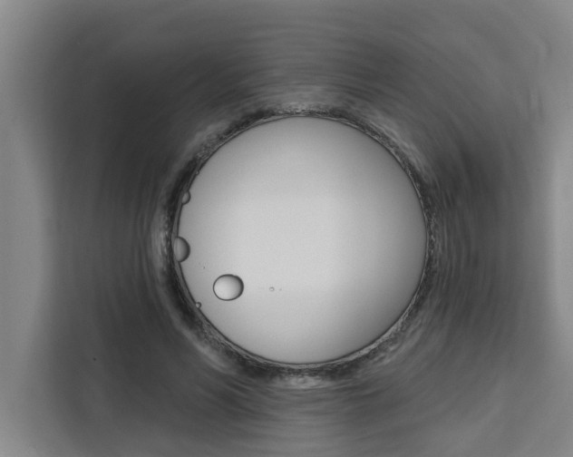 X0000111440590200907131022