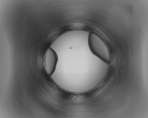 X0000111440599200907131022