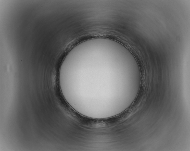 X0000111440600200907131022