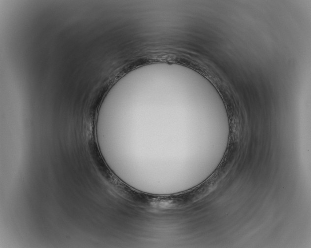 X0000111440602200907131022