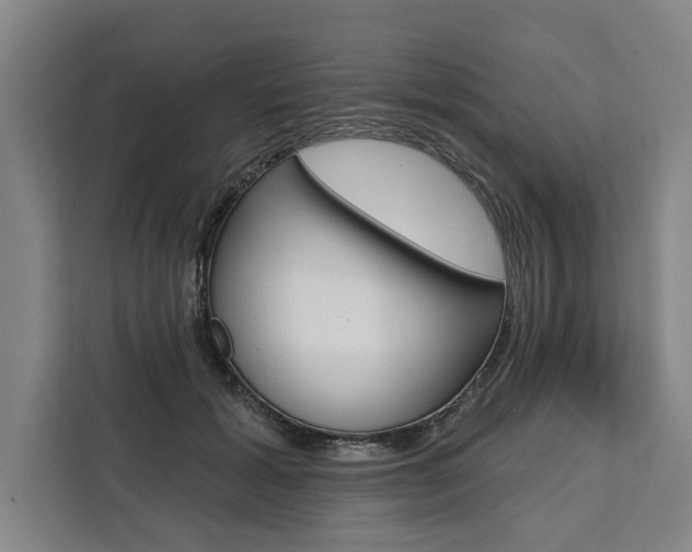 X0000111440605200907131022