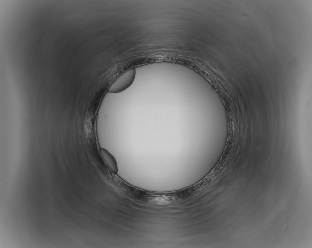 X0000111440611200907131022