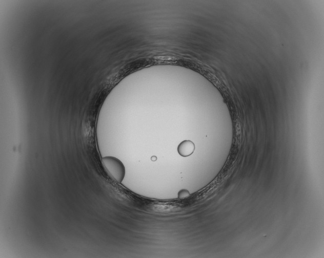 X0000111440614200907131022