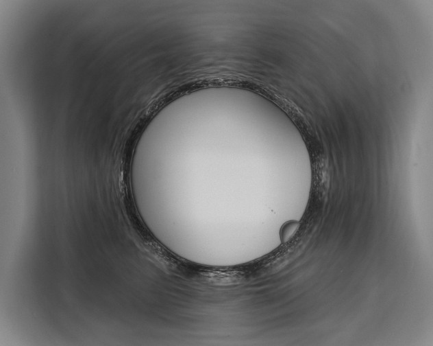 X0000111440615200907131022
