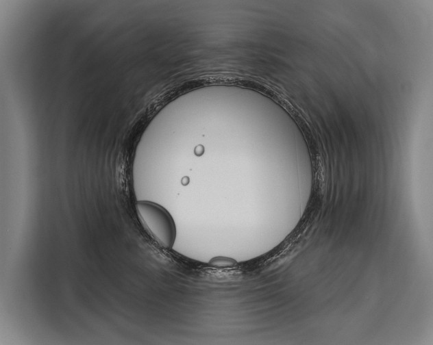 X0000111440619200907131022