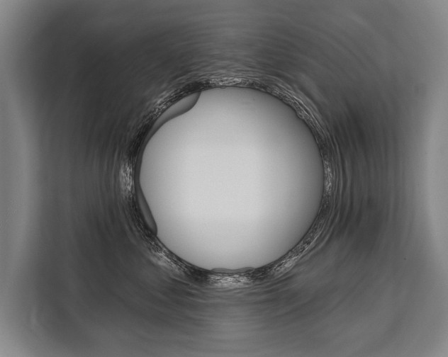 X0000111440621200907131022