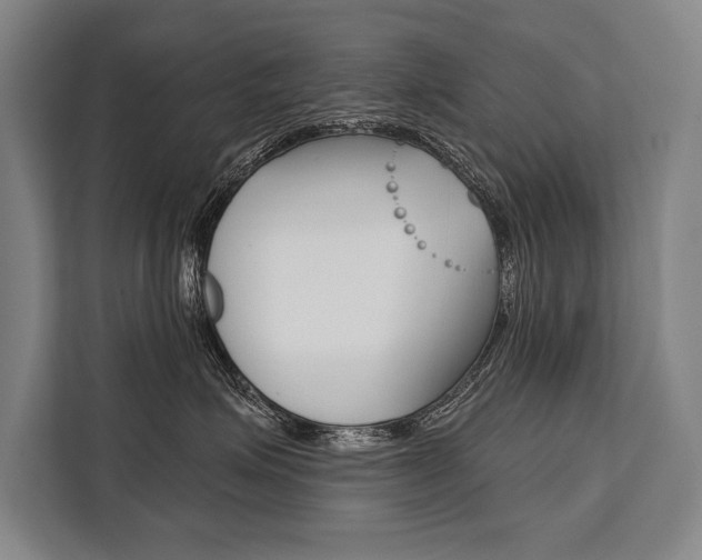 X0000111440623200907131022