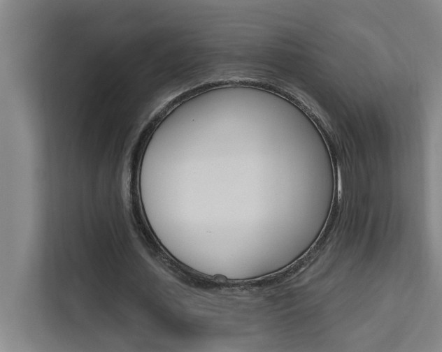 X0000111440627200907131021