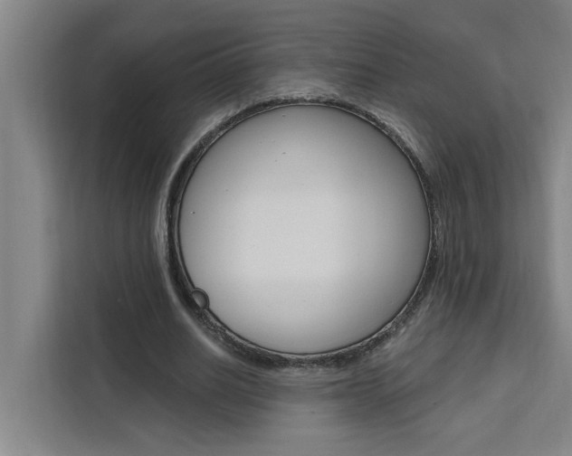 X0000111440630200907131021