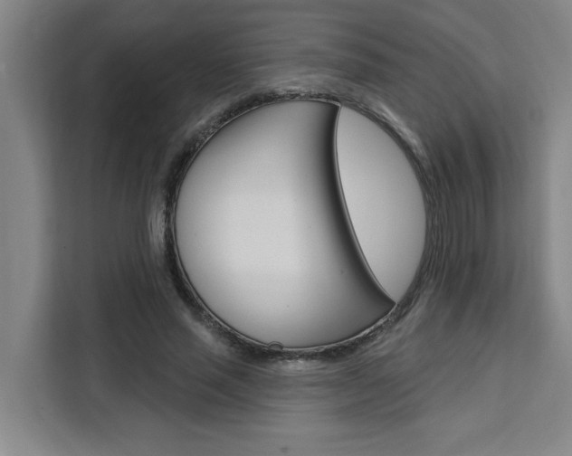 X0000111440637200907131021