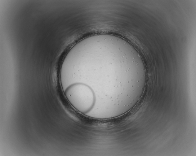 X0000111440638200907131021