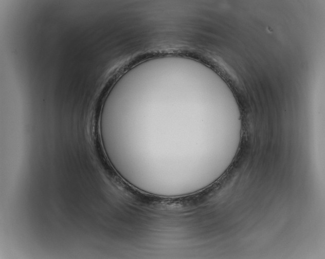 X0000111440640200907131021