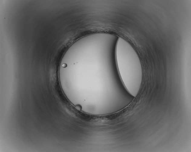 X0000111440642200907131021