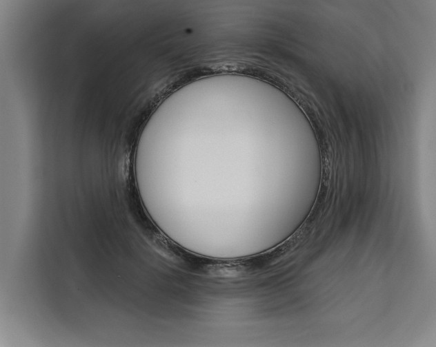 X0000111440652200907131022