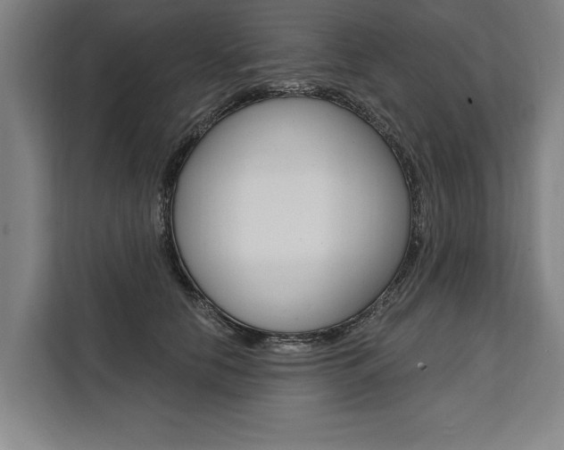 X0000111440658200907131022