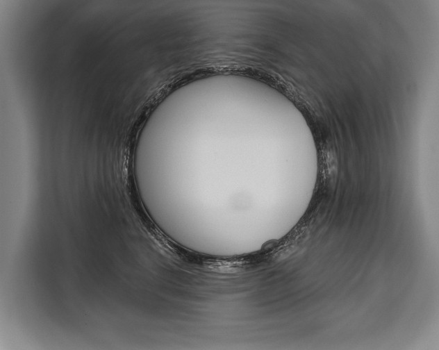 X0000111440664200907131022