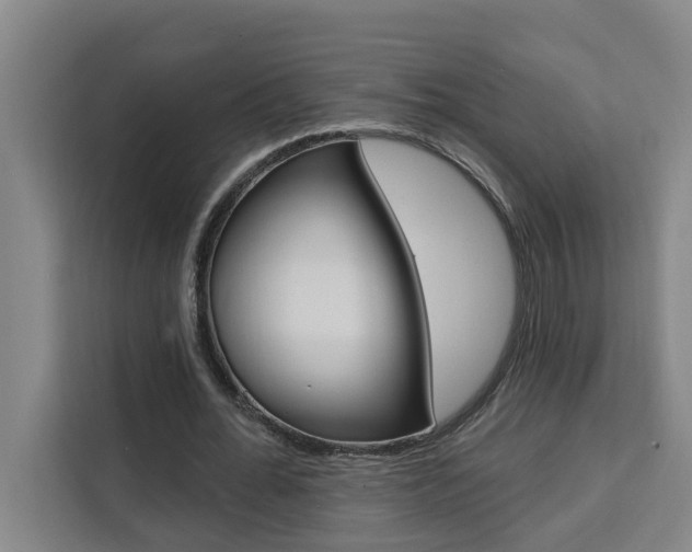 X0000111440676200907131021