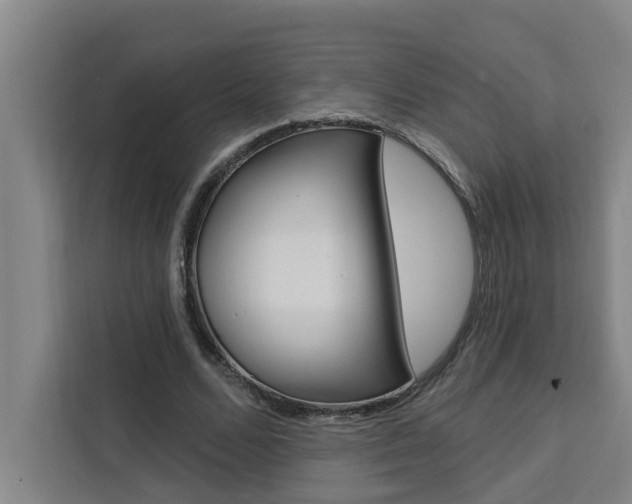 X0000111440680200907131021