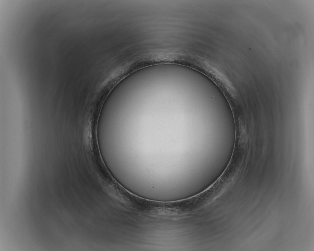 X0000111440681200907131021