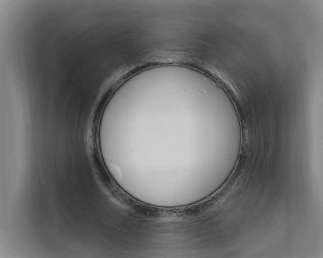 X0000111440682200907131021