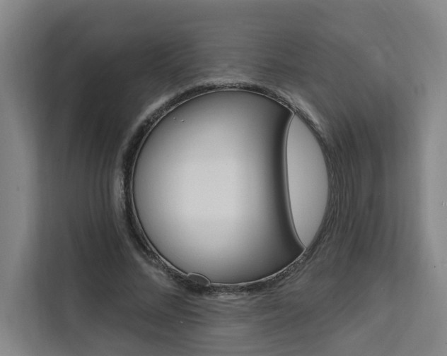 X0000111440684200907131021