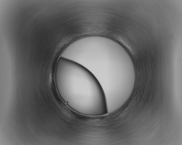 X0000111440685200907131021