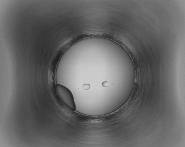 X0000111440692200907131021