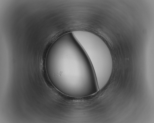 X0000111440693200907131021