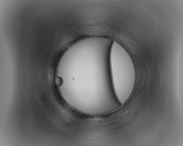 X0000111440695200907131021