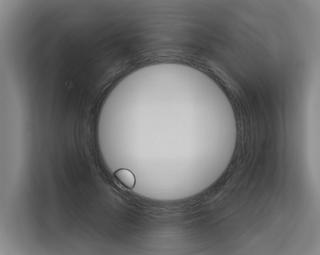 X0000111440696200907131021