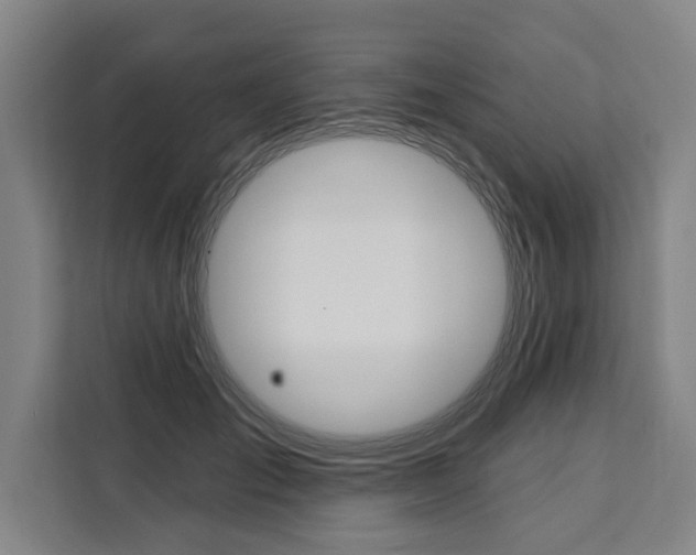 X0000111440701200907131021