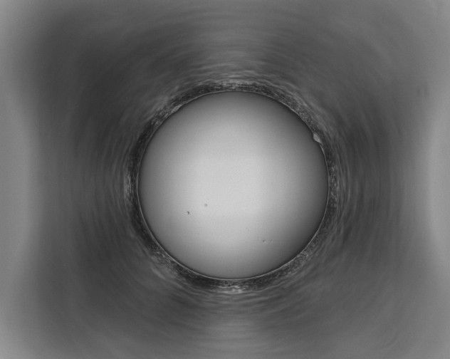 X0000111440704200907131021