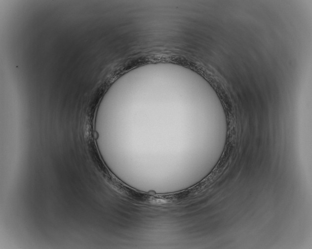X0000111440706200907131021