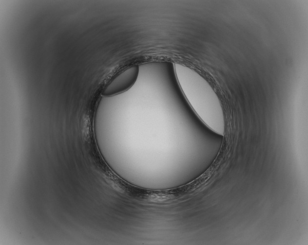 X0000111440708200907131021