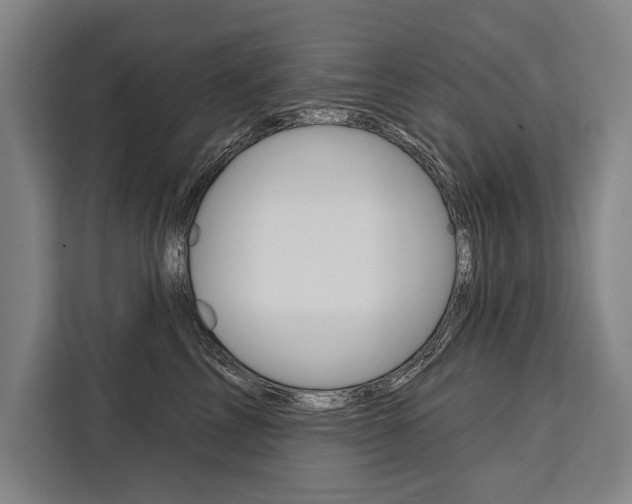 X0000111440713200907131021