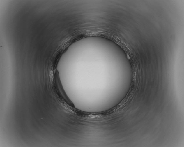 X0000111440716200907131021