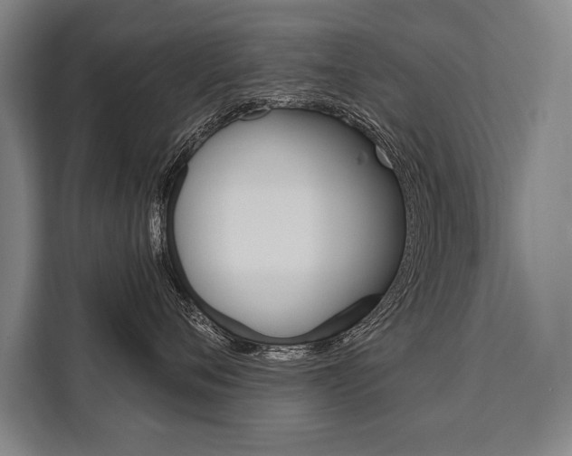 X0000111440720200907131021