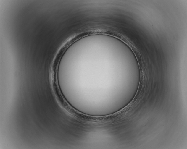 X0000111440726200907131020