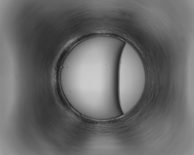 X0000111440727200907131020