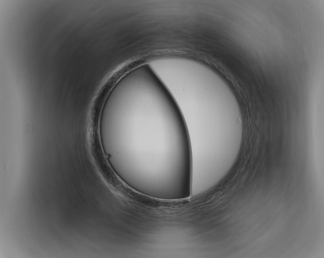 X0000111440728200907131020